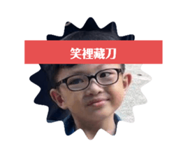434460337