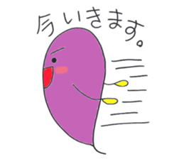 4345081