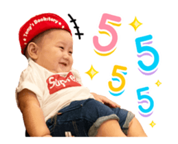 434543494