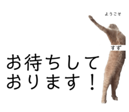 434562761