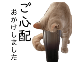 434562765