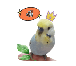 434564678