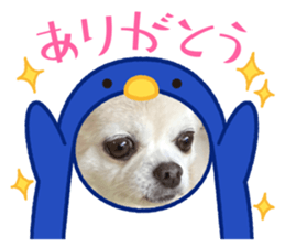 434567368