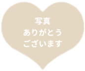 434581028