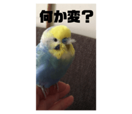 434599769