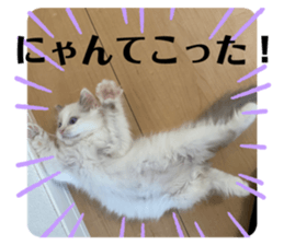 434614874