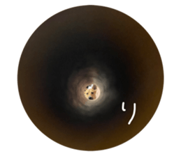 434653756