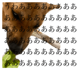 434653761