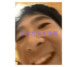 434668306