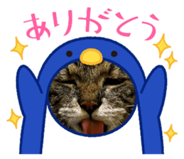 434696597