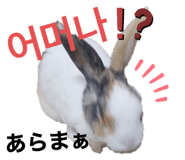 434699551