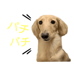 434739531