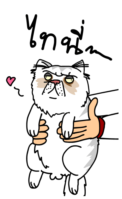 ลายที่ 11