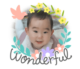 434877251