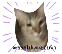 434957886