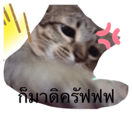 434957887