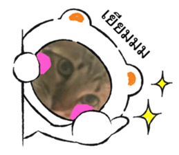434957888