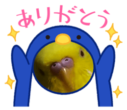 434975224