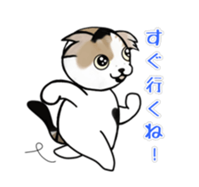 434995324