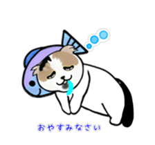434995341