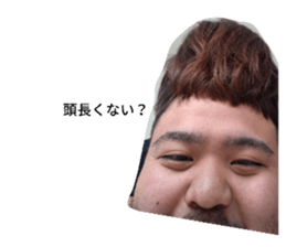 435001629