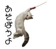 435023748