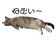 435023766