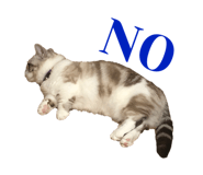 435023777
