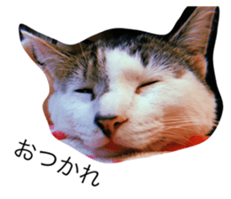 435052321