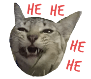 435058416