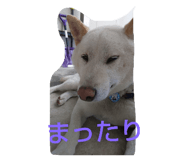 435108510