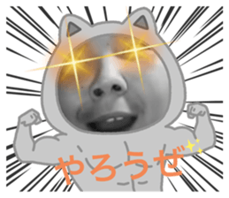 435131317