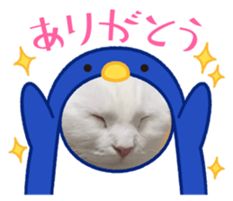 435168956