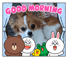 435205421