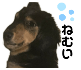 435220598