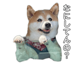 435225265