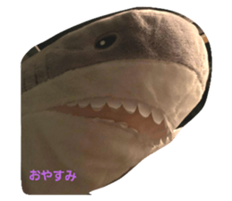 435242538