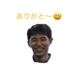 435280236
