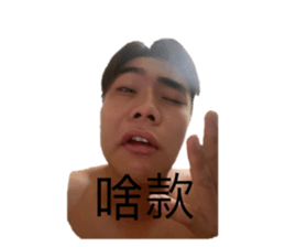 435303278