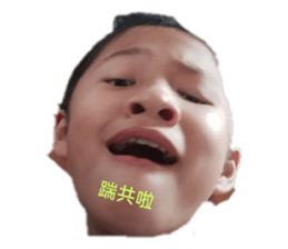 435309909