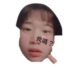 435309916