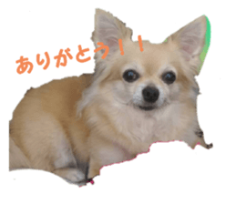 435325754