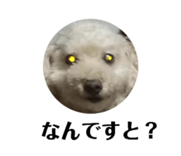 435343632