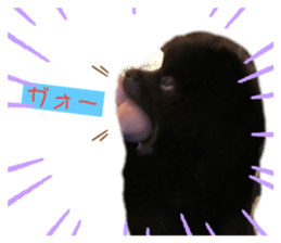 435393530