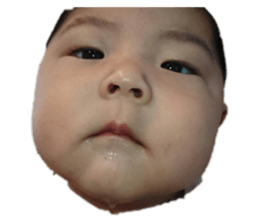 435401476
