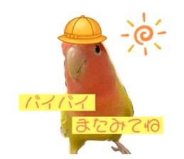 435433405
