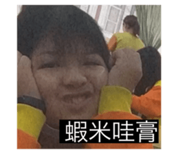 435456646