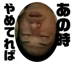 435526075
