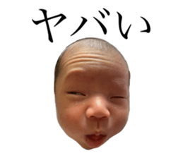 435530250
