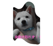 435542610